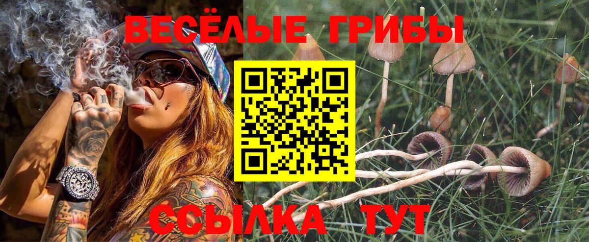 Псилоцибиновые грибы мицелий  Вход с VPN  Орск 